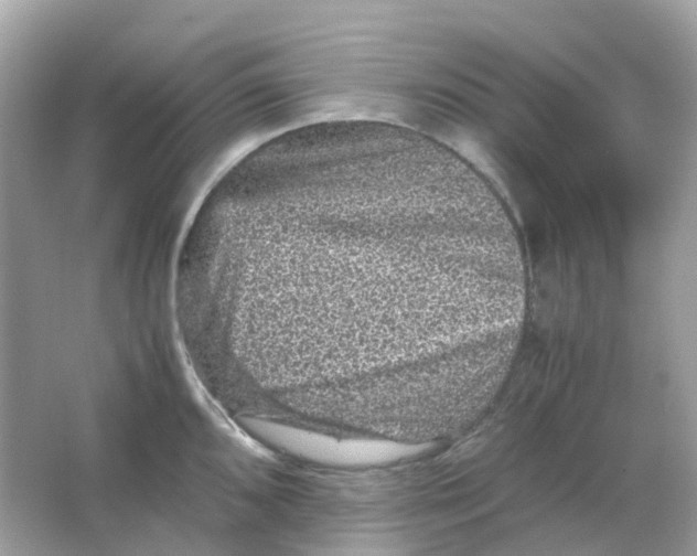 X0000065981096200603241933