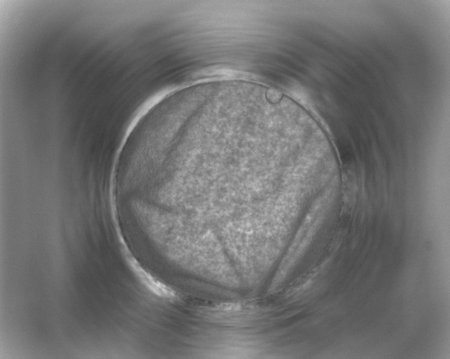 X0000065981098200603241933