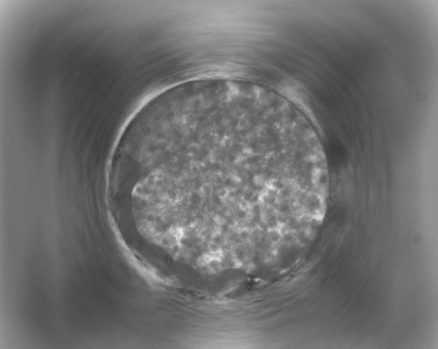 X0000065981099200603241933