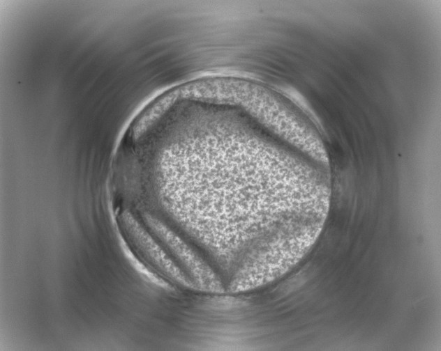 X0000065981100200603241933