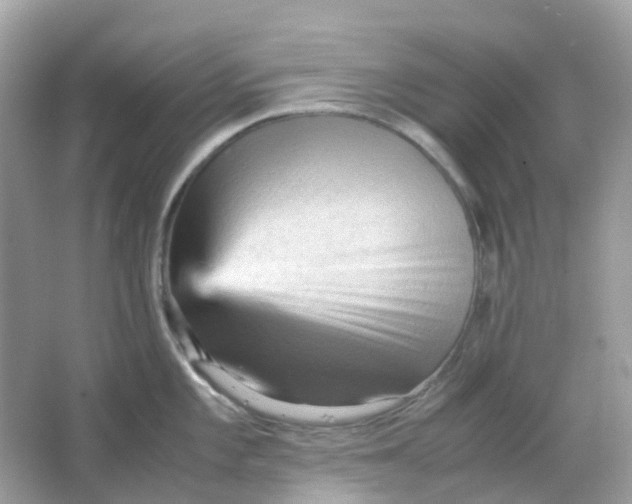 X0000065981101200603241933