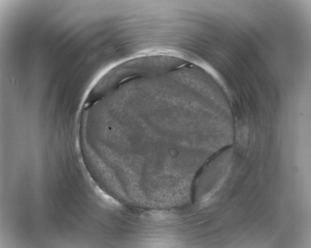 X0000065981102200603241933