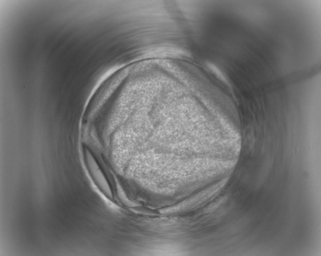 X0000065981103200603241933