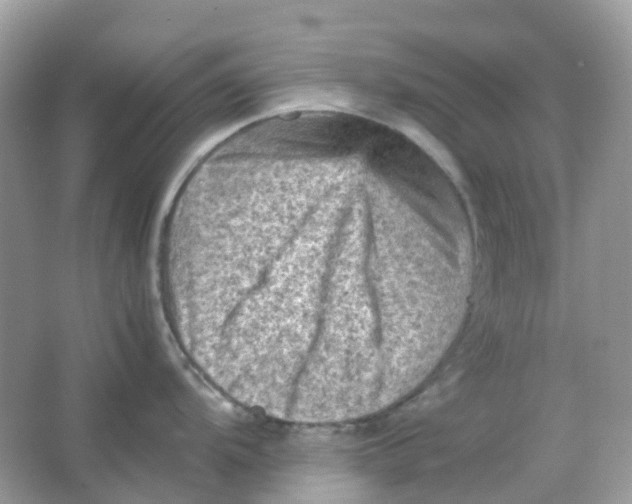 X0000065981104200603241933