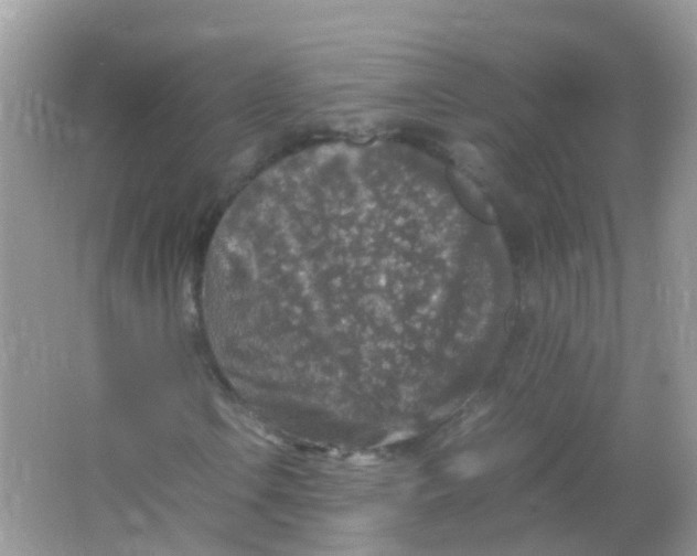 X0000065981106200603241932