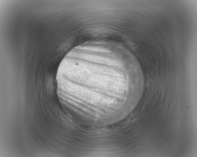 X0000065981108200603241932