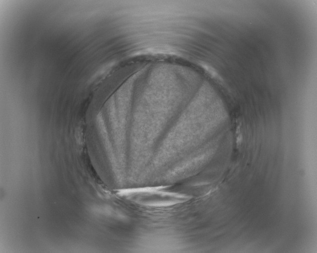 X0000065981110200603241932