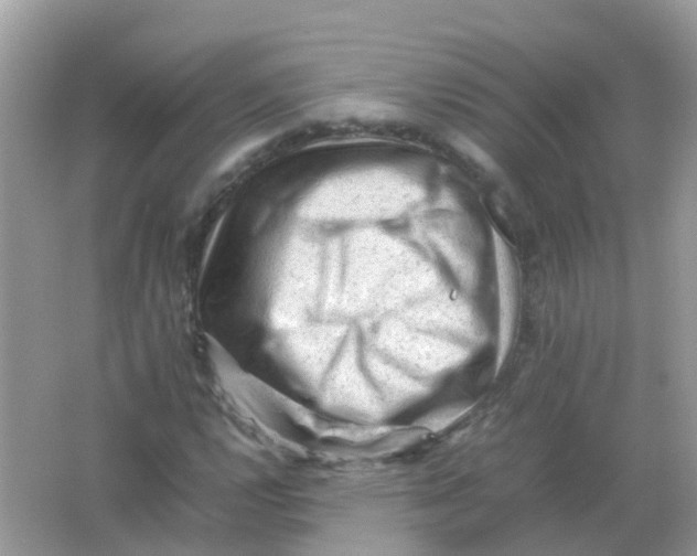 X0000065981112200603241932