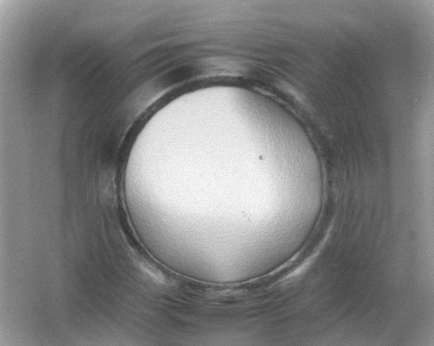 X0000065981113200603241932