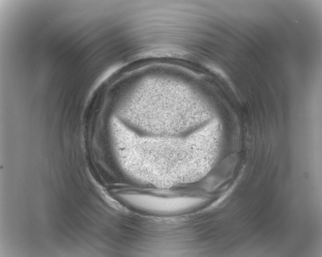 X0000065981114200603241932