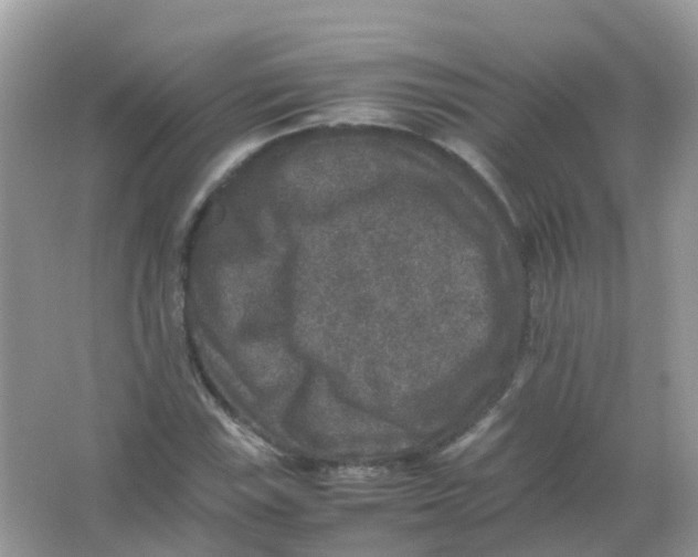 X0000065981115200603241932