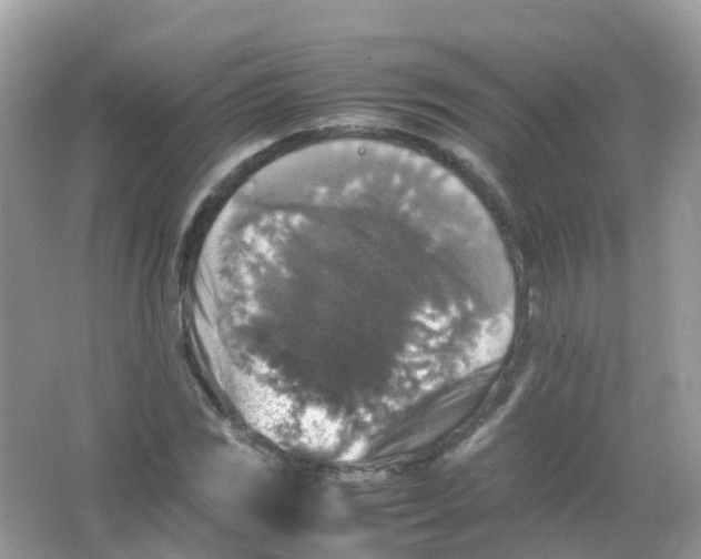 X0000065981117200603241932