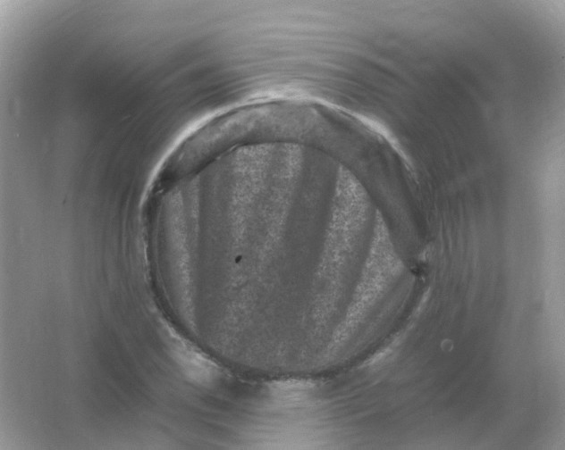 X0000065981118200603241932