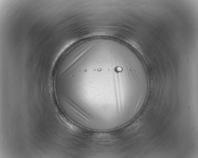 X0000065981119200603241932