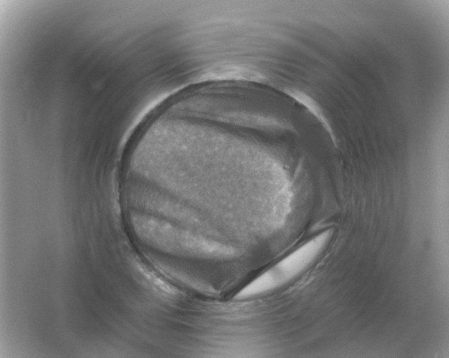 X0000065981120200603241932