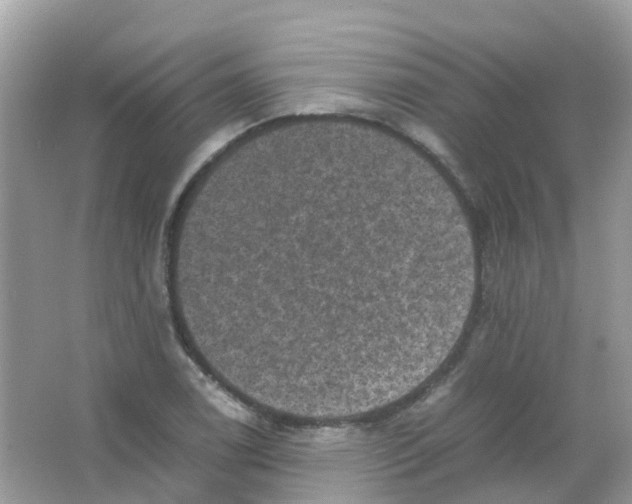 X0000065981122200603241932