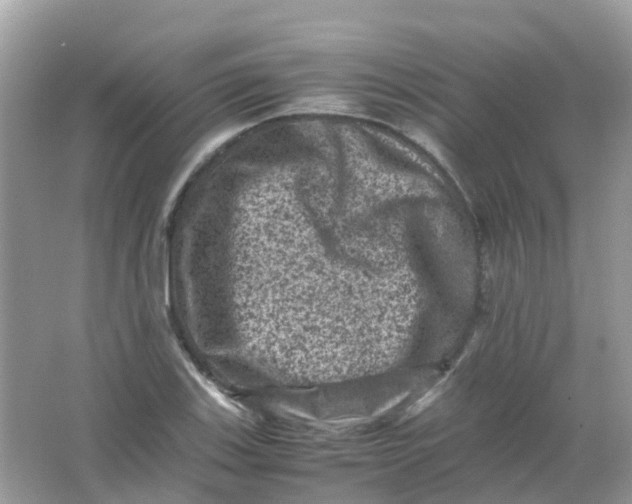 X0000065981123200603241932