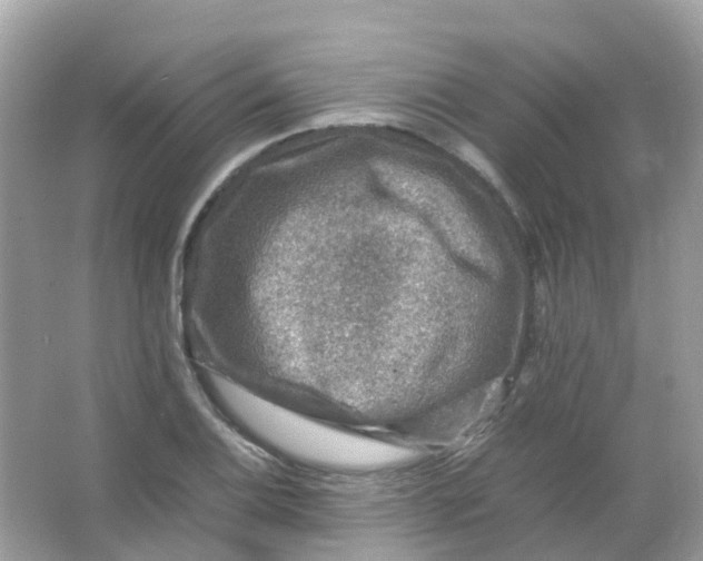 X0000065981124200603241932