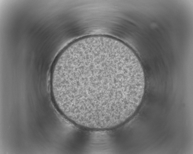 X0000065981126200603241932