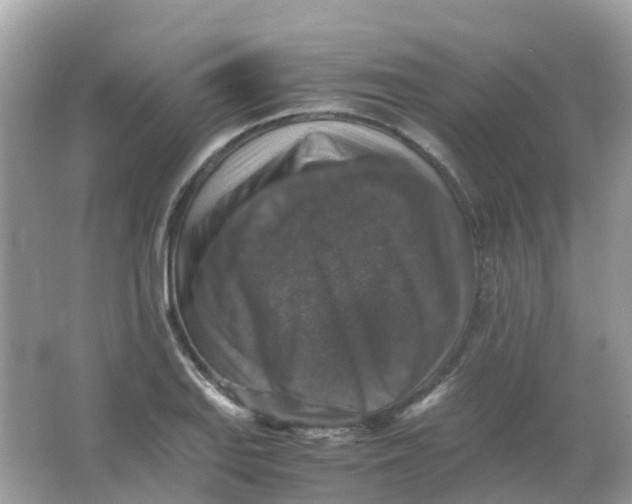 X0000065981127200603241932