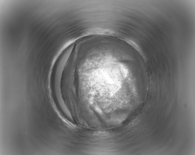 X0000065981128200603241932