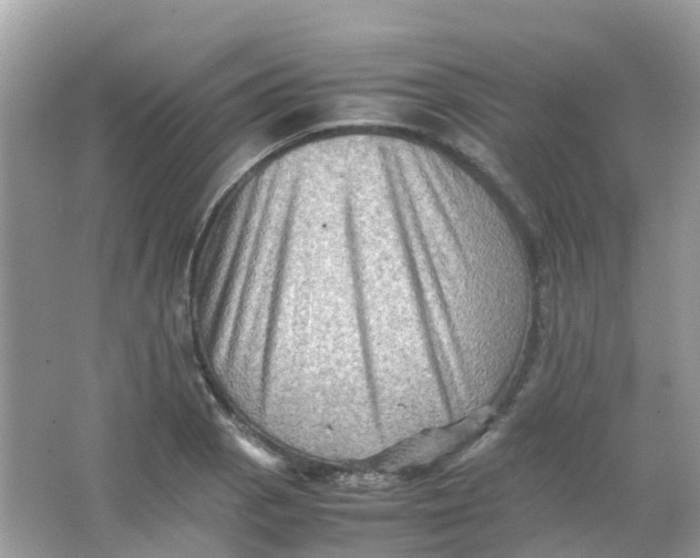 X0000065981129200603241932