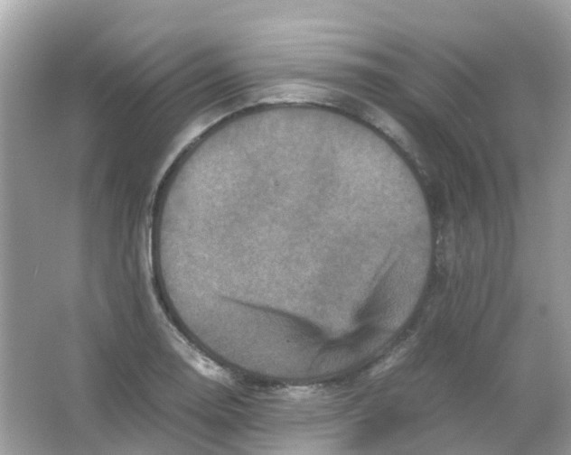 X0000065981130200603241932