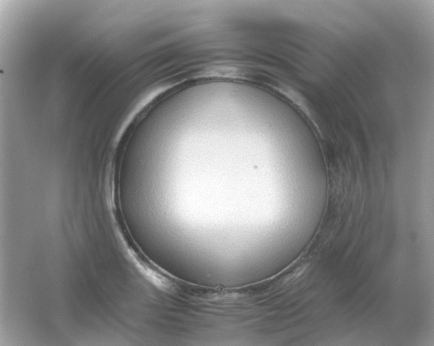 X0000065981131200603241932