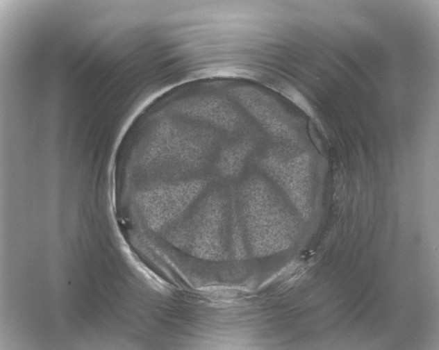 X0000065981132200603241932