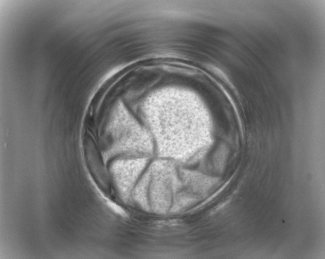 X0000065981133200603241932