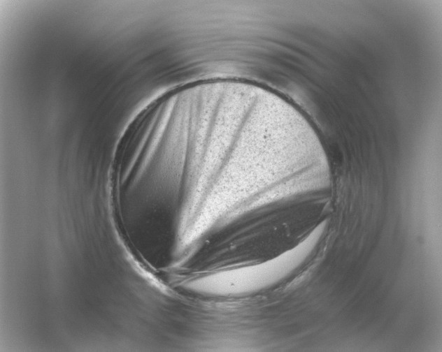 X0000065981134200603241932