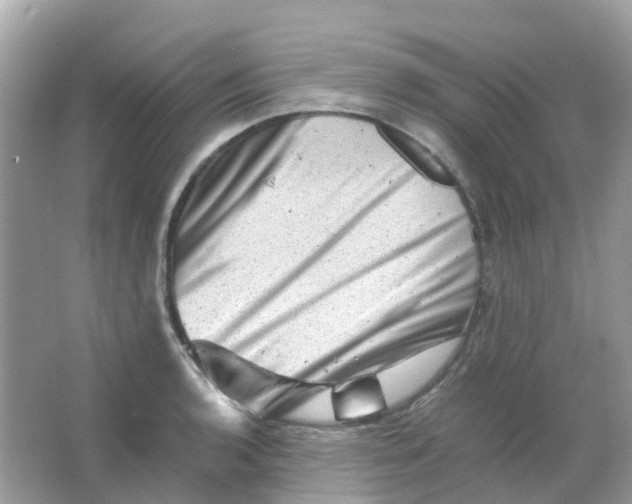 X0000065981136200603241932