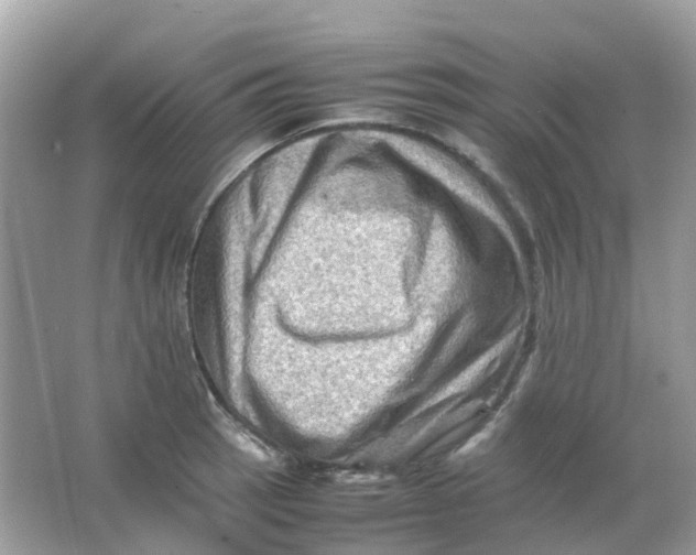 X0000065981137200603241932