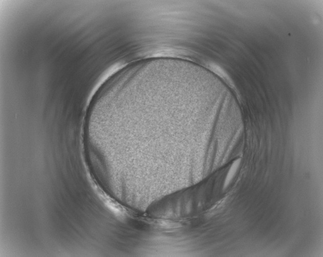 X0000065981138200603241932