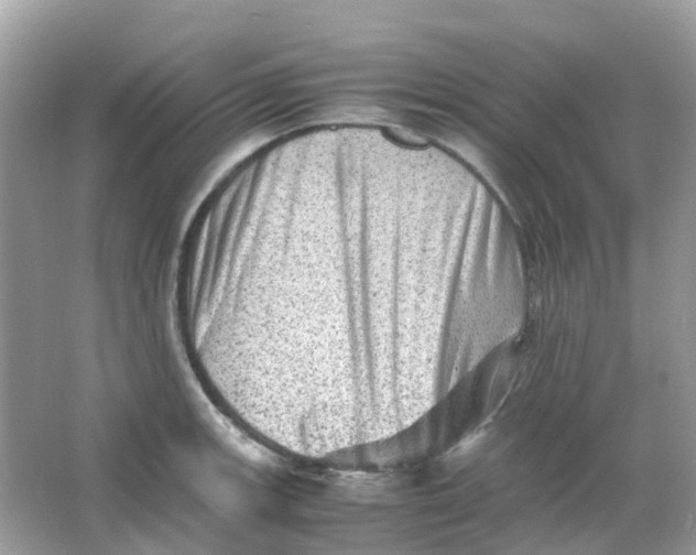 X0000065981139200603241932