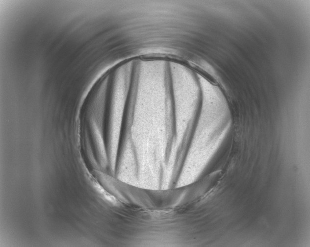 X0000065981140200603241932