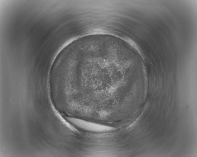 X0000065981142200603241933