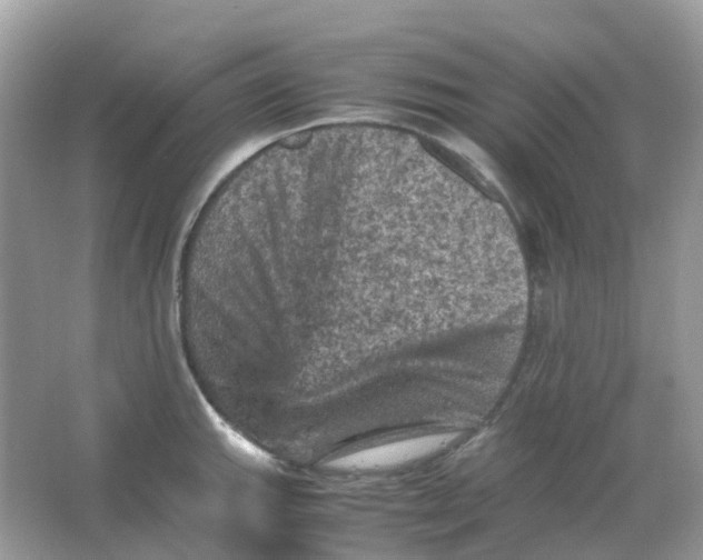 X0000065981143200603241933