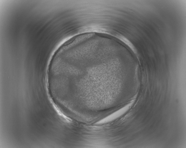 X0000065981144200603241933