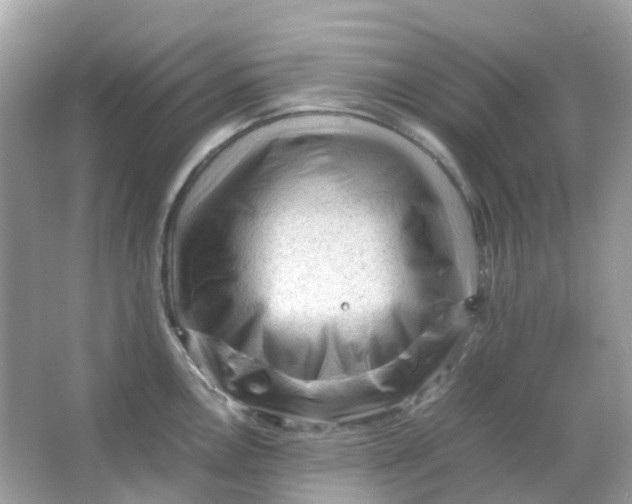 X0000065981146200603241933