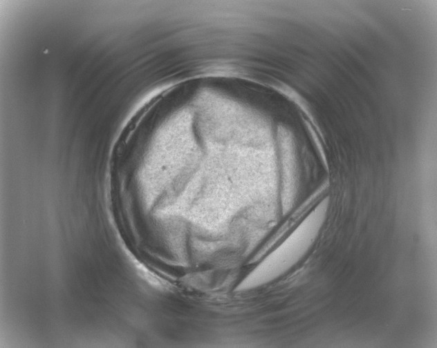 X0000065981147200603241933