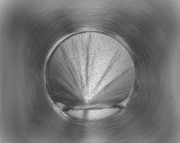 X0000065981148200603241933