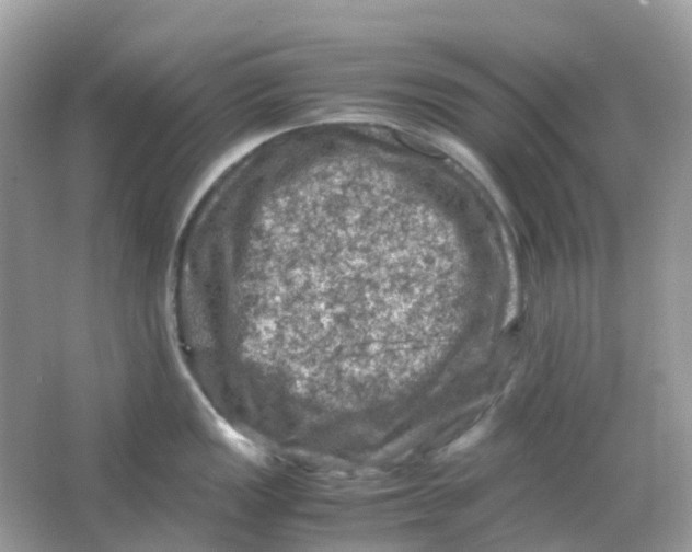 X0000065981149200603241933