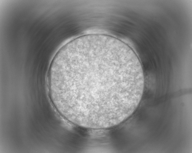 X0000065981150200603241933