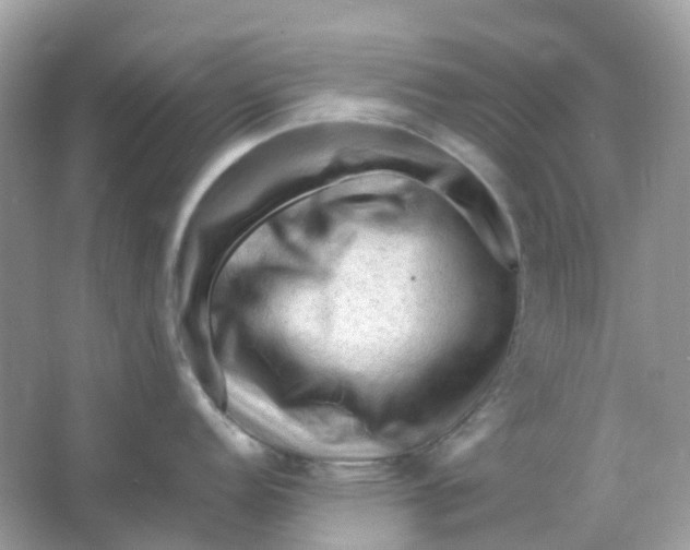 X0000065981152200603241933