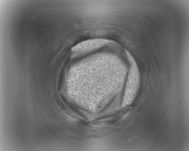 X0000065981153200603241932