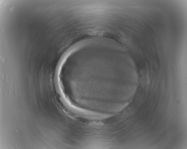 X0000065981154200603241932