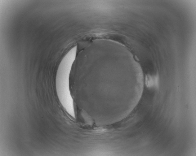 X0000065981155200603241932