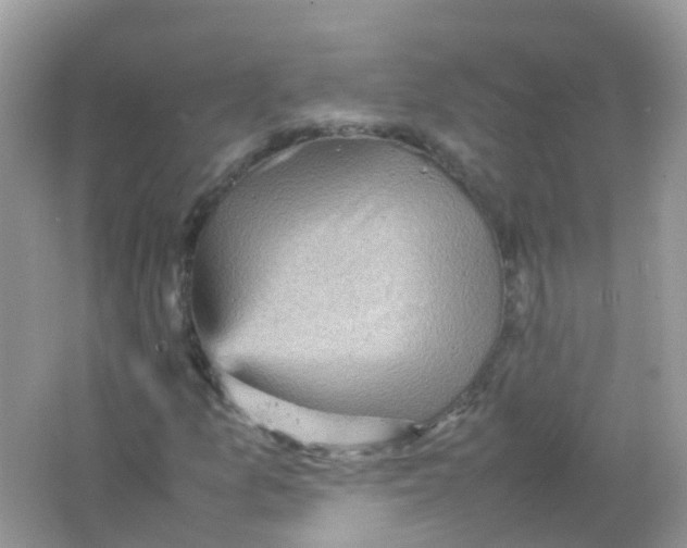 X0000065981157200603241932