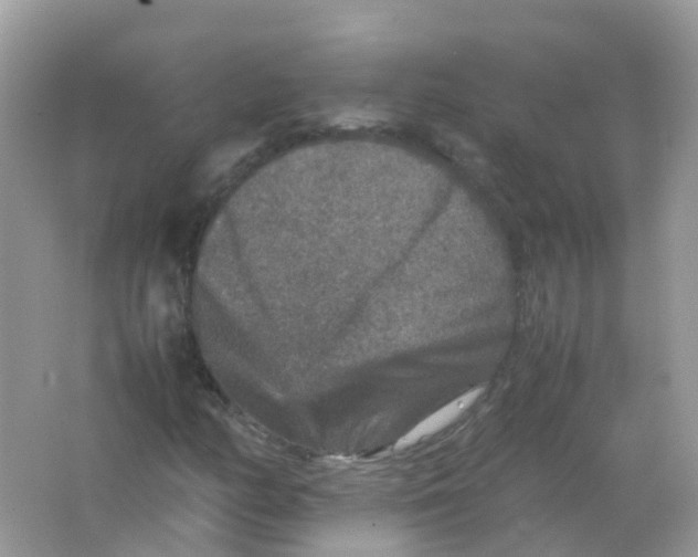 X0000065981158200603241932